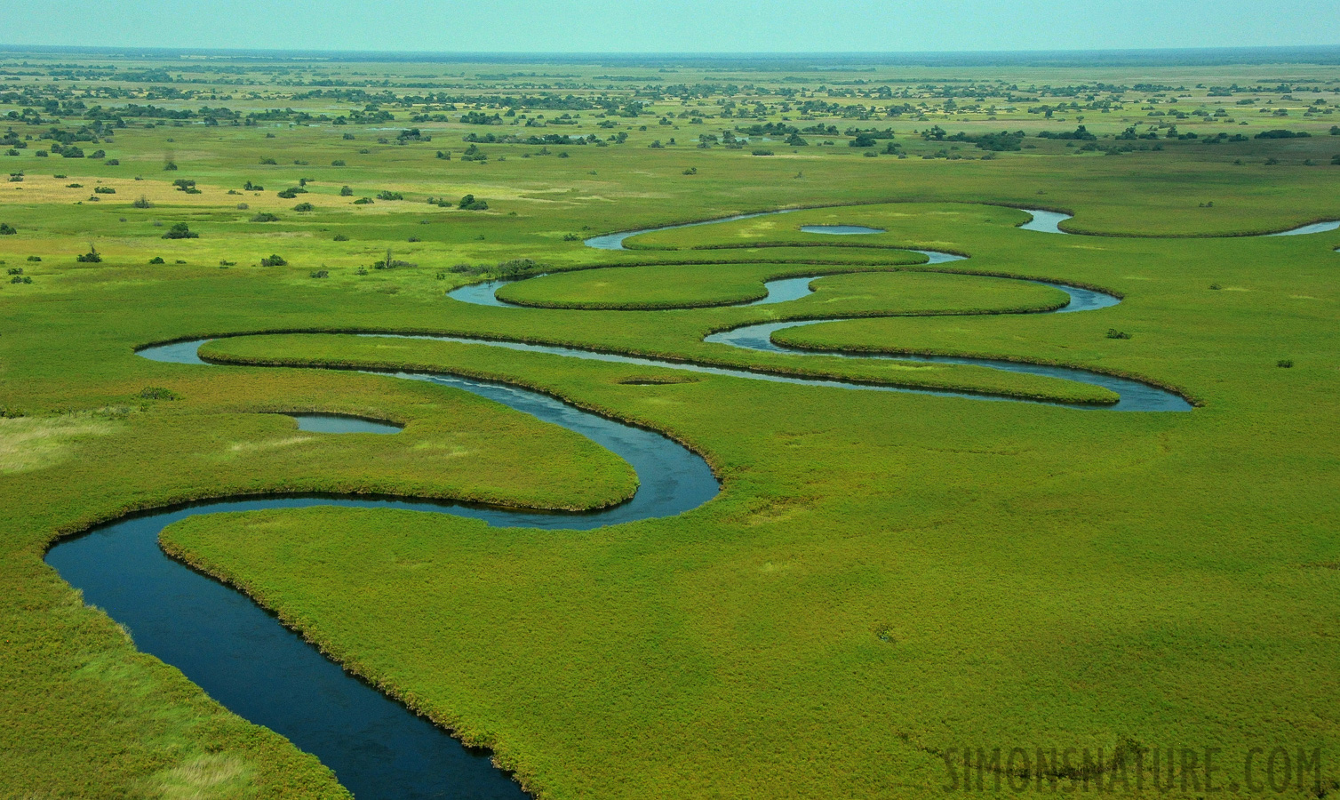 Okavango Delta May 2014 [56 mm, 1/5000 sec at f / 8.0, ISO 2500]